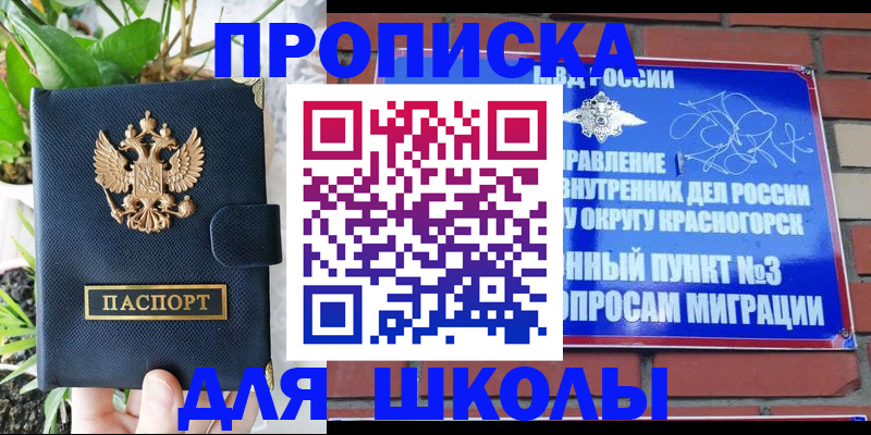 прописка гарантия в Волжске